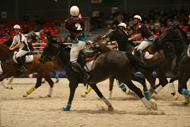 The PARIS' CUP Horseball Women's competition